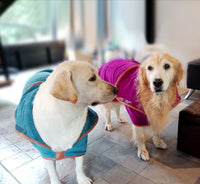 HKM-9174461 Quick-Drying Absorbent Bath Towel for Pets