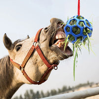 HKM-9184445 Stable Hanging Hay Feeder Toy Ball with Rope - Available in Red, Blue, Green