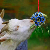 HKM-9184445 Stable Hanging Hay Feeder Toy Ball with Rope - Available in Red, Blue, Green