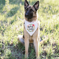 HKM-9189181 Pet Dog Wedding Triangle Scarf - Letters Pattern, Casual Style, Autumn Use, 42x42x62 cm