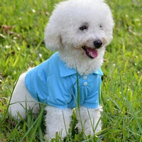 HKM-9205437 Lightweight Breathable Dog Vest - Adjustable Fit for Small to Extra Large Dogs