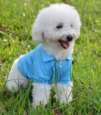 HKM-9205437 Lightweight Breathable Dog Vest - Adjustable Fit for Small to Extra Large Dogs