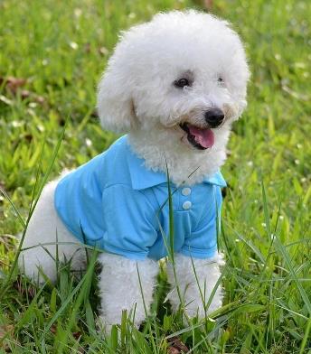HKM-9205437 Lightweight Breathable Dog Vest - Adjustable Fit for Small to Extra Large Dogs