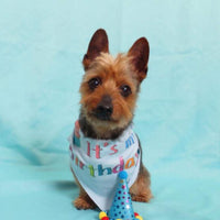 HKM-9207229 Dog Birthday Party Hat - Fun Cloth Hat with Paper Crown for Pets