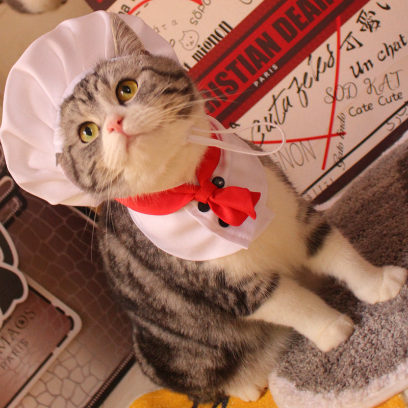 HKM-9207869 Pet Outfit with Hat and Scarf - Available in White, Sizes S to L