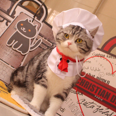 HKM-9207869 Pet Outfit with Hat and Scarf - Available in White, Sizes S to L