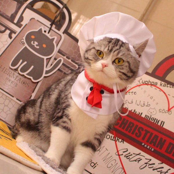 HKM-9207869 Pet Outfit with Hat and Scarf - Available in White, Sizes S to L