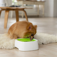 HKM-9214781 Non-Slip Floating Dog Drinking Bowl - Automatic Feeding, 19x18x8cm, Sky Blue/Green/Gray