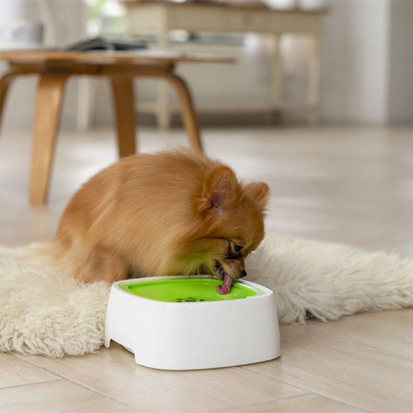 HKM-9214781 Non-Slip Floating Dog Drinking Bowl - Automatic Feeding, 19x18x8cm, Sky Blue/Green/Gray