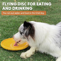 HKM-9216061 Durable Flying Disc for Medium and Large Dogs - Ideal for Outdoor Playtime and Summer Activities