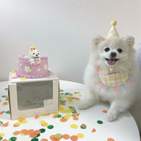 HKM-9216189 Dog Birthday Bib and Adjustable Hat Set in Yellow for Pet Celebrations
