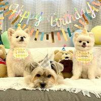HKM-9216189 Dog Birthday Bib and Adjustable Hat Set in Yellow for Pet Celebrations