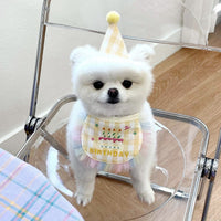 HKM-9216189 Dog Birthday Bib and Adjustable Hat Set in Yellow for Pet Celebrations