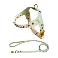HKM-9223613 Diamond Pattern PU Leather Pet Vest Suit for Dogs and Cats - Pink & Green, XS and S Sizes Available