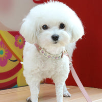 HKM-9223613 Diamond Pattern PU Leather Pet Vest Suit for Dogs and Cats - Pink & Green, XS and S Sizes Available