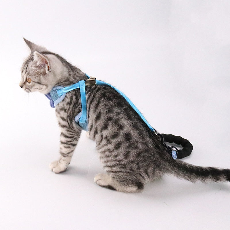 HKM-9224125 Stylish Bowknot Vest Harness and Leash Set for Cats and Dogs