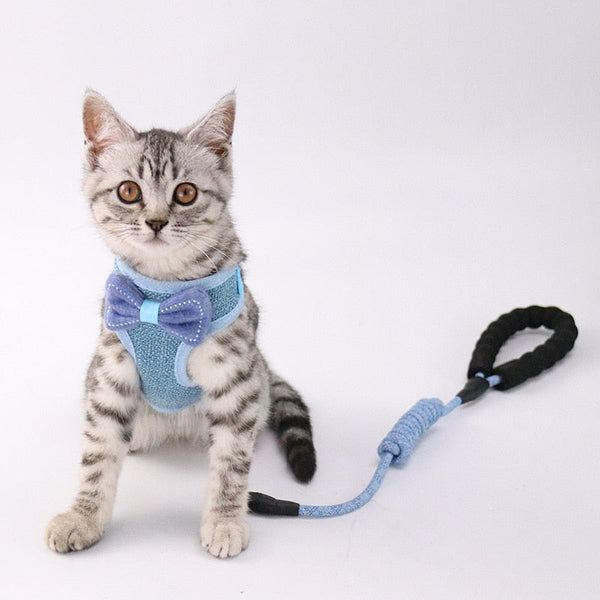 HKM-9224125 Stylish Bowknot Vest Harness and Leash Set for Cats and Dogs