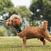 HKM-9226301 Adjustable Nylon Dog Leash for Large and Medium Dogs - Monochrome Colors Available