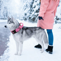 HKM-9226301 Adjustable Nylon Dog Leash for Large and Medium Dogs - Monochrome Colors Available