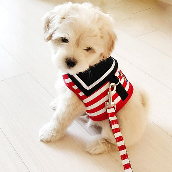 HKM-9229373 Durable Nylon Puppy Leash Chest Strap with Adjustable Dog Walking Rope