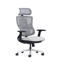 HKM-923347 Ergonomic Mesh Computer Chair with Adjustable 3D Headrest and Footrest