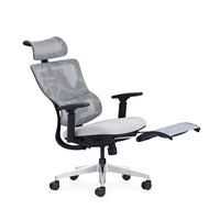 HKM-923347 Ergonomic Mesh Computer Chair with Adjustable 3D Headrest and Footrest