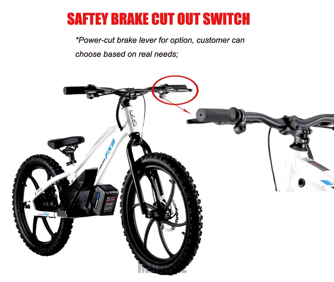HKM-923475 20-Inch Electric Balance Bike with 600W Motor and 5.0Ah Lithium Battery for Kids, Aluminum Frame, Hydraulic Disc Brakes