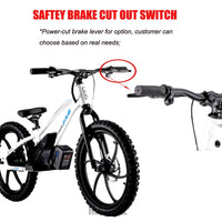 HKM-923475 20-Inch Electric Balance Bike with 600W Motor and 5.0Ah Lithium Battery for Kids, Aluminum Frame, Hydraulic Disc Brakes