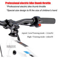 HKM-923475 20-Inch Electric Balance Bike with 600W Motor and 5.0Ah Lithium Battery for Kids, Aluminum Frame, Hydraulic Disc Brakes