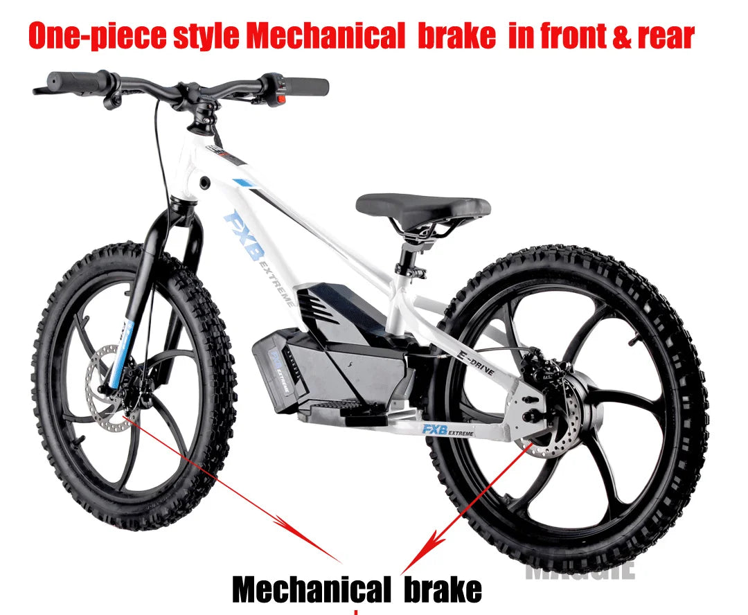 HKM-923475 20-Inch Electric Balance Bike with 600W Motor and 5.0Ah Lithium Battery for Kids, Aluminum Frame, Hydraulic Disc Brakes