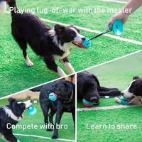 HKM-9237309 Interactive Teething Tug-of-War Dog Toy with Suction Cup - Durable TPR Chew Toy for Aggressive Chewers