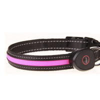 HKM-9237821 Luminous USB Charging Dog Collar - Adjustable Nylon Pet Accessory in Multiple Sizes