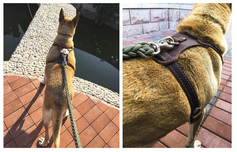 HKM-9243581 Thickened Cowhide Double Layer Chest and Back Harness for Medium to Large Dogs