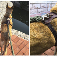 HKM-9243581 Thickened Cowhide Double Layer Chest and Back Harness for Medium to Large Dogs
