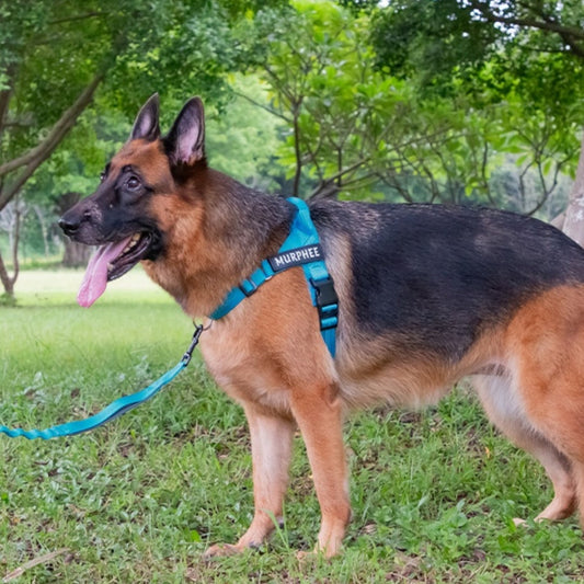 HKM-9245373 Lightweight Dog Breast Strap with Hand-Holding Rope - Multiple Colors Available