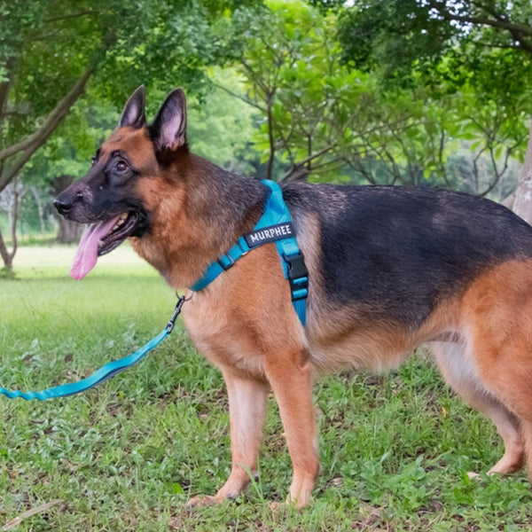 HKM-9245373 Lightweight Dog Breast Strap with Hand-Holding Rope - Multiple Colors Available