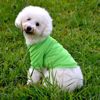 HKM-9245757 Solid Color Dog Polo Shirt with Lapel - Cozy Cotton T-Shirt for Pets