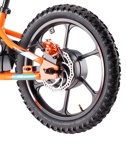 HKM-924627 16-Inch No Pedal Electric Bike for Kids - Lightweight Aluminum Alloy Frame, 250W Motor, Disc Brake System