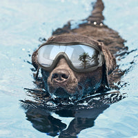 HKM-925203 Waterproof UV Protection Goggles for Large Dogs - Durable PVC Frame and PC Lenses
