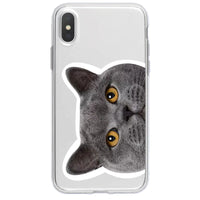HKM-925459 Transparent Cat Print Protective Phone Case for Apple iPhone Models