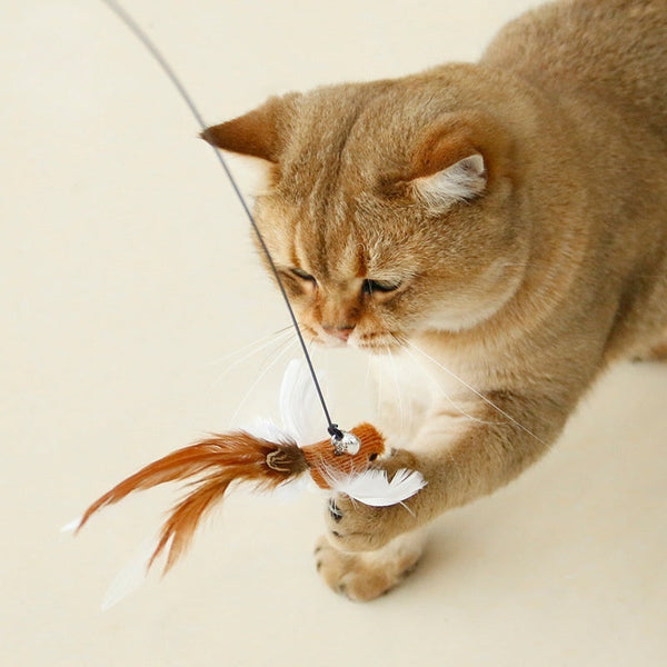HKM-9257917 Replacement Plush Feather Heads for Cat Teaser Toys – Multiple Colors Available