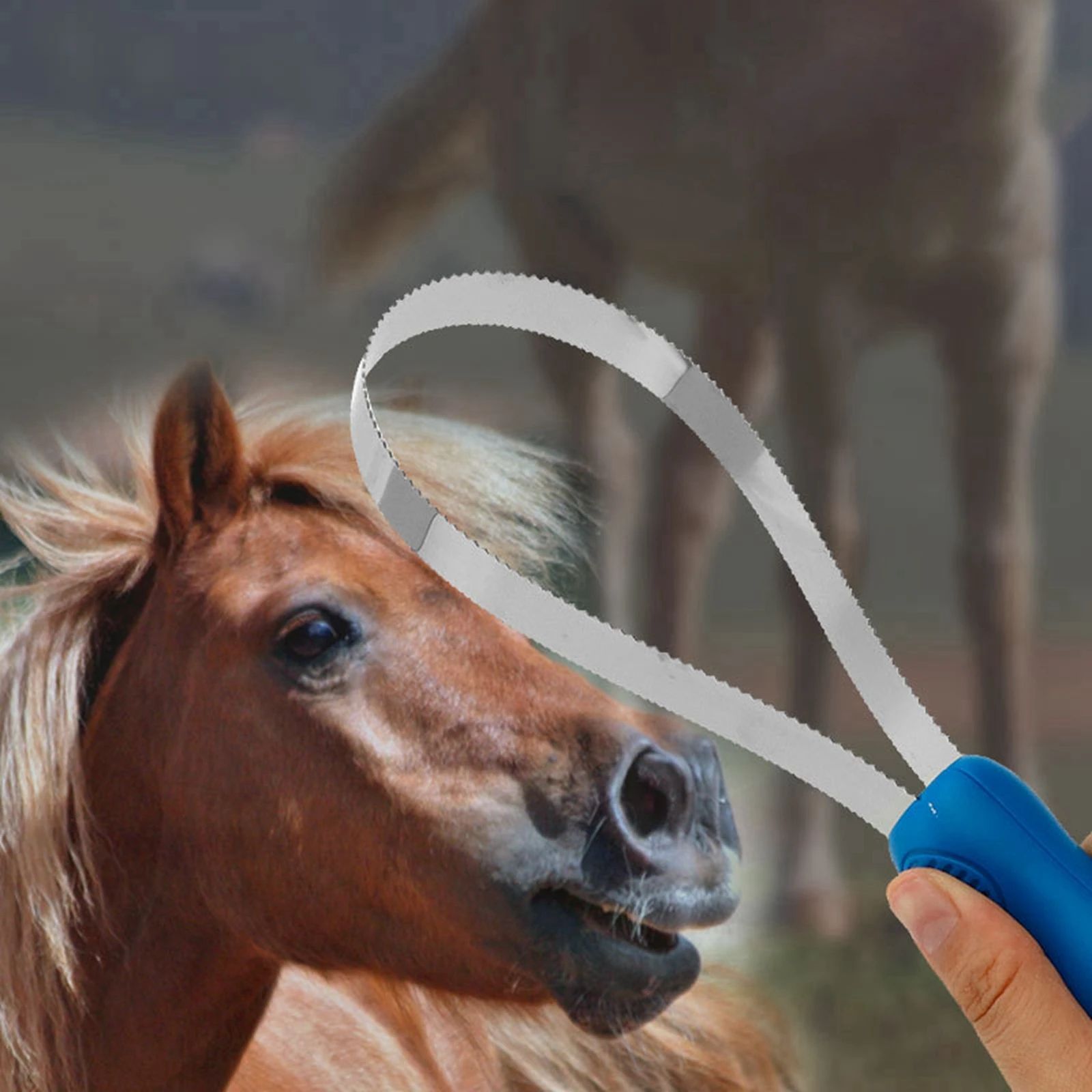 HKM-9258685 Equestrian Dual-Sided Grooming Comb for Horses, Dogs, and Cats - Expandable Non-Slip Curry Brush