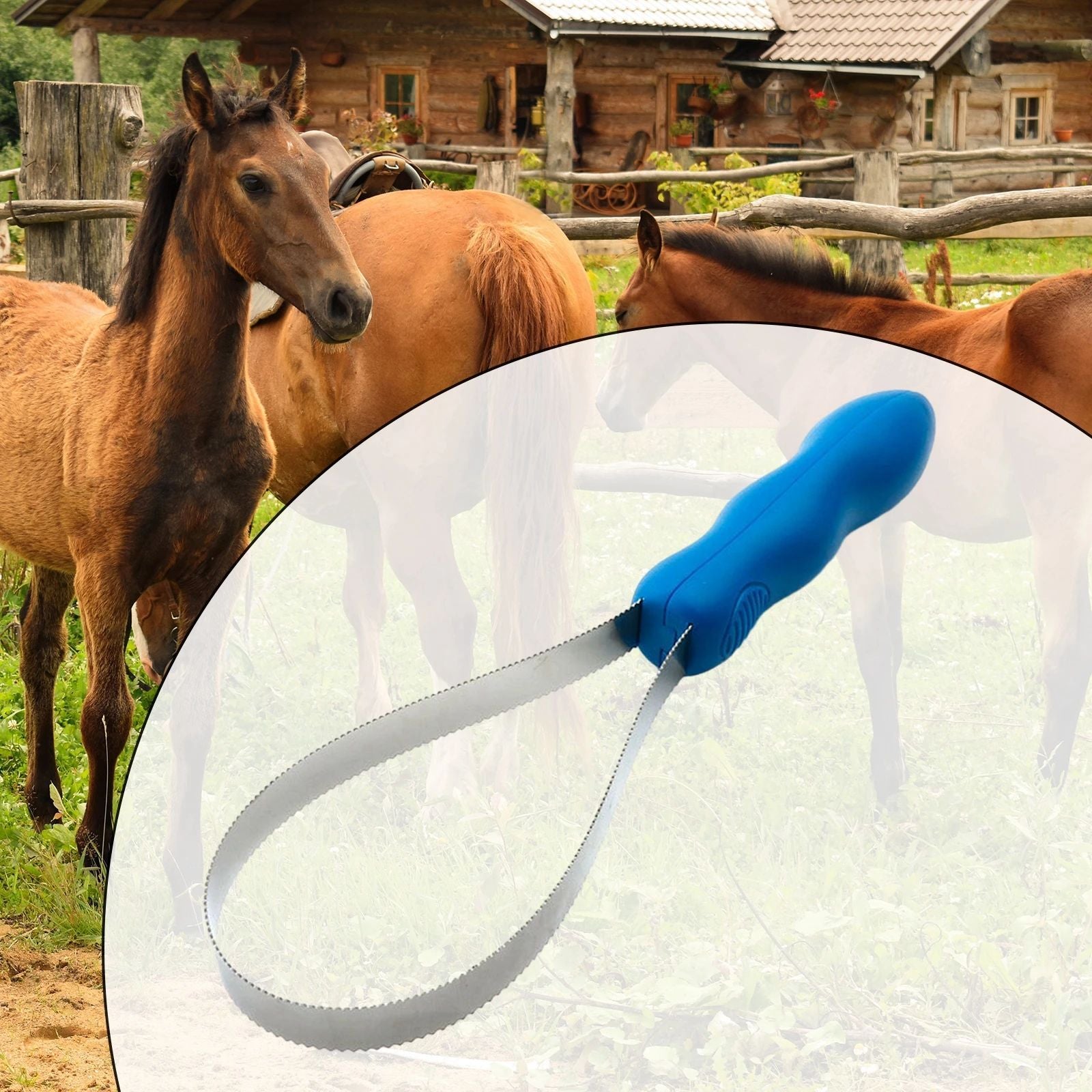 HKM-9258685 Equestrian Dual-Sided Grooming Comb for Horses, Dogs, and Cats - Expandable Non-Slip Curry Brush