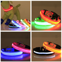 HKM-9259069 Rechargeable LED Luminous Dog Collar in Various Colors and Sizes