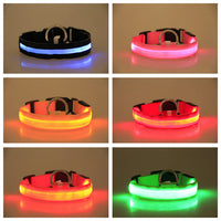 HKM-9259069 Rechargeable LED Luminous Dog Collar in Various Colors and Sizes