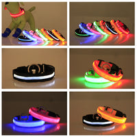 HKM-9259069 Rechargeable LED Luminous Dog Collar in Various Colors and Sizes