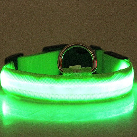 HKM-9259069 Rechargeable LED Luminous Dog Collar in Various Colors and Sizes