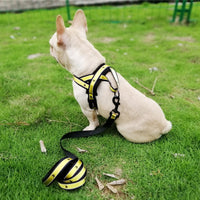 HKM-9262653 Adjustable Chest Band with Traction Rope for Medium and Large Dogs - Nylon in Multiple Colors