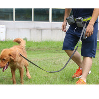 HKM-9268413 Adjustable Hands-Free Dog Leash with Waist Bag and Stretchable Traction Rope - Available in Multiple Colors
