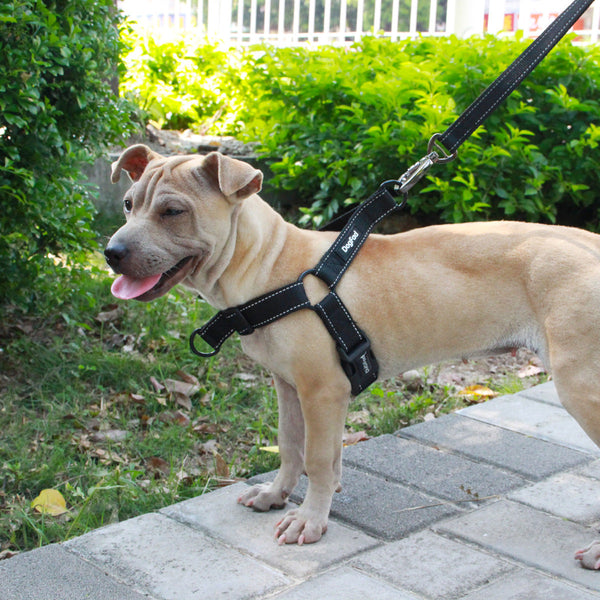 HKM-927699 Reflective Adjustable Pet Dog Harness with Nylon Chest Strap and Traction Rope